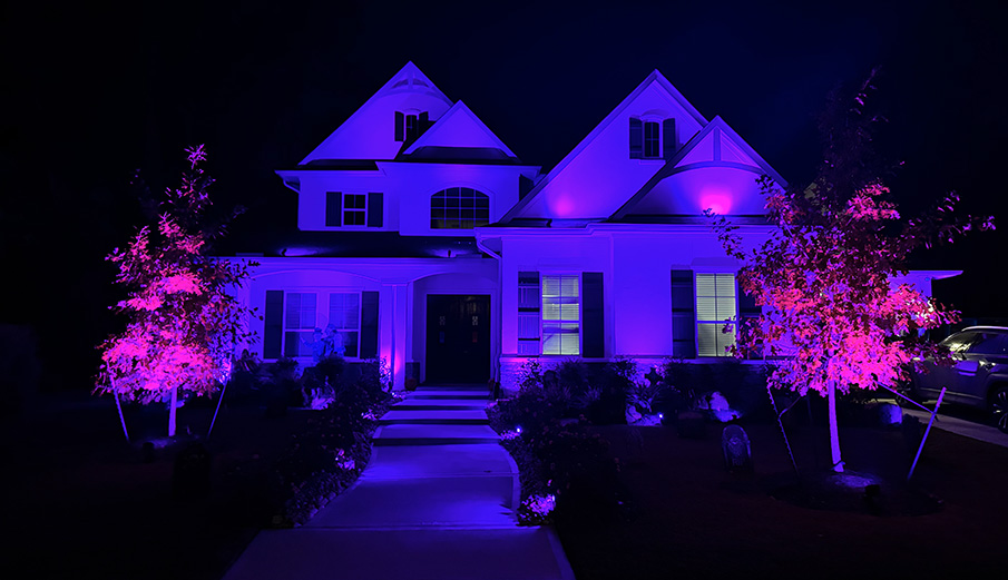 Professional Christmas Light Installations, Kingwood TX.