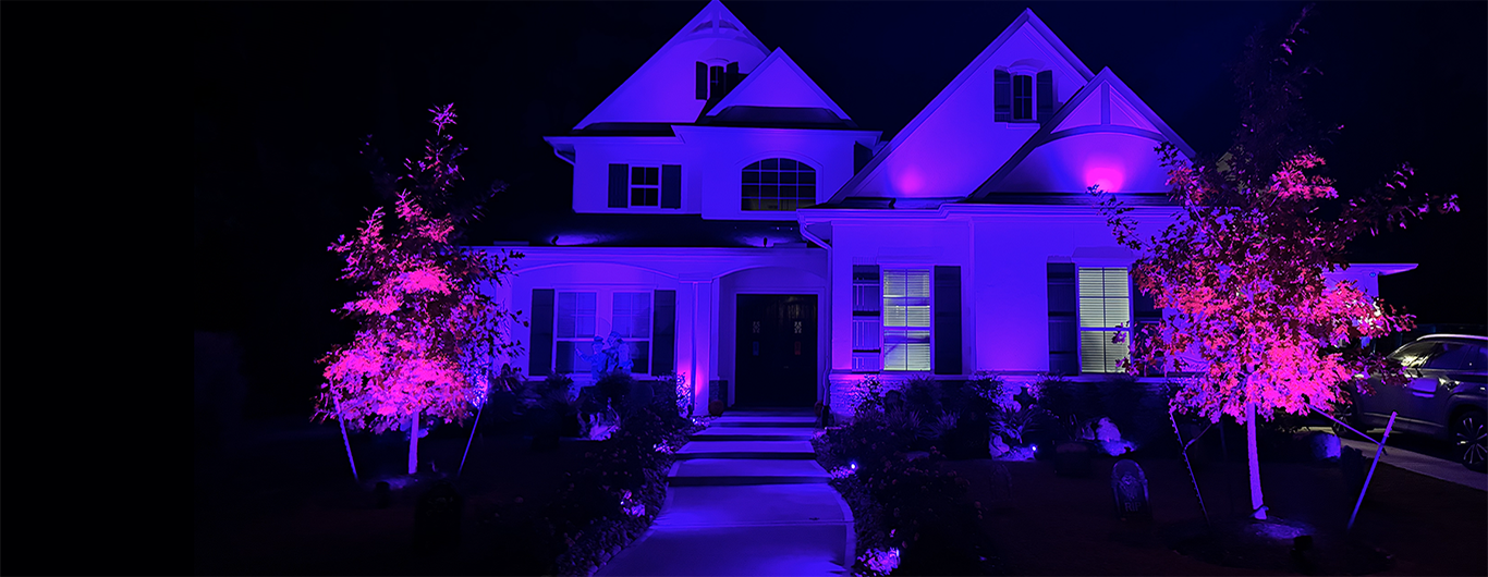 YardBirds Color Changing Landscape Night Lighting Design and Installation Services.